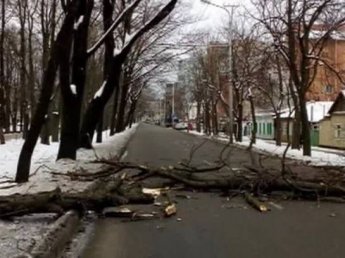 Ветер опрокинул несколько грузовых машин на Ставрополье