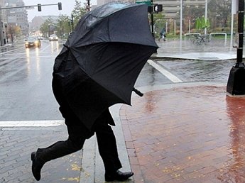 МЧС объявило экстренное предупреждение об ухудшении погоды в Москве