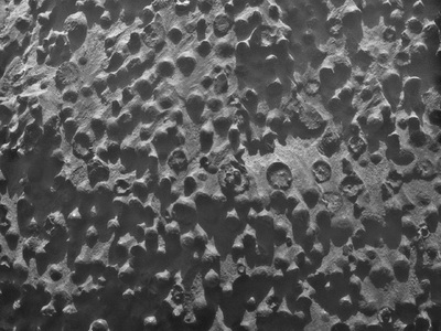 Загадочные снимки с марсохода поставили ученых в тупик — фото