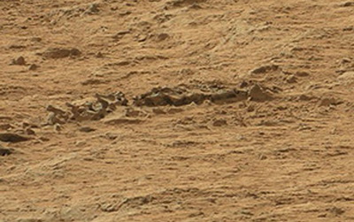 Марсоход CURIOSITY нашел скелет неизвестного животного