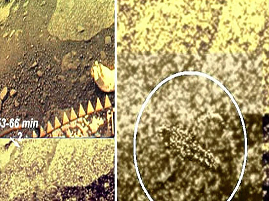 На Венере обнаружена жизнь: ученые поделились уникальной находкой спустя 30 лет