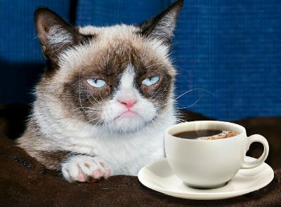 Картинки по запросу котик с кофе