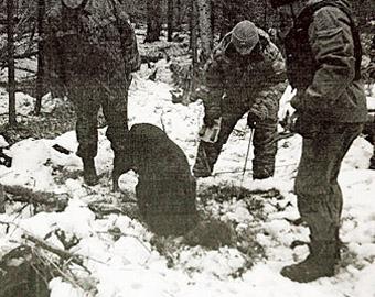 История нижнетагильского борделя потрясла Россию