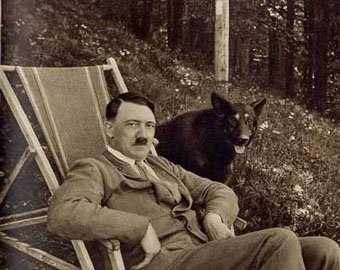 Гитлер хотел разбить русских в 1939 году с помощью собак, умных как люди