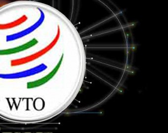 ВТО обрекает Россию на деградацию