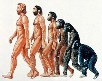 Эволюция дала человеку не только много преимуществ, но и немало недостатков