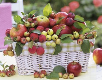 Семь фактов о пользе яблок