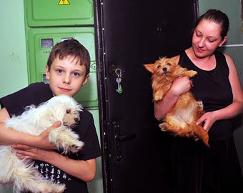 Москвичка поселила в своей квартире 239 собак