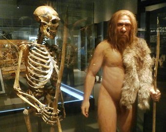 Ученые окончательно уличили людей в том, что они занимались сексом с неандертальцами