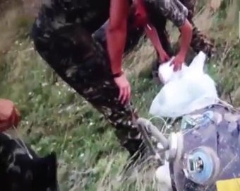 О чем говорит «отвратительное» видео с места падения MH 17