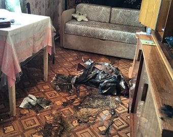Квартиру убийц сестер-пенсионерок в Подмосковье взяли штурмом