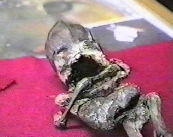 Победительница «Битвы экстрасенсов»: «Кыштымский карлик» Алешенька — недоразвитый плод обычного человека!»