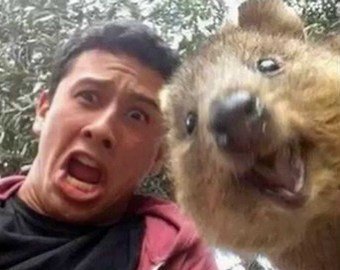 Десять видов селфи, которые делают все