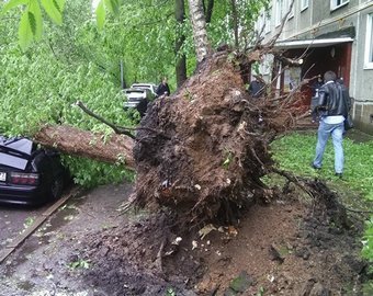 Кому выгодны климатические страшилки?