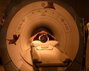 «Из двух детей один обязательно заболеет»