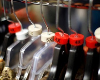 Хамите, парниша!