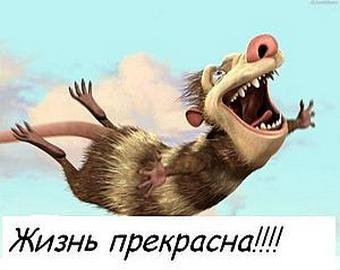 «Умение послать все на фиг спасет нас»