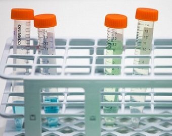 Мир будущего: робосексуалы, нудизм и бессмертие