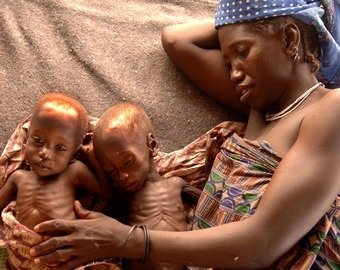 Мясо из пробирки, белок из воздуха