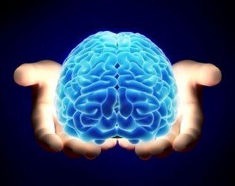 Как выучить нужный для выступления материал «на зубок»