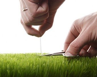 Перфекционист? У меня для тебя плохие новости…