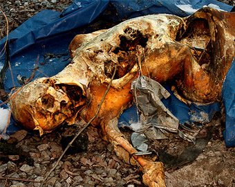 «Просто закопать тело в яму — этого мало»