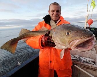 Почему рыба в России продается в три раза дороже реальной стоимости