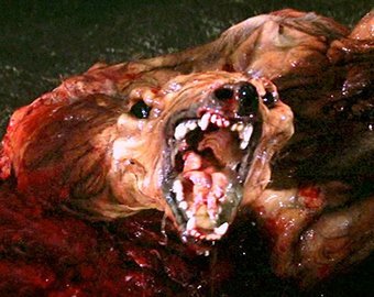 Чудовища существуют