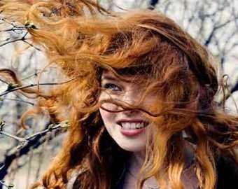 «Вопросы климата принимают политическую окраску»