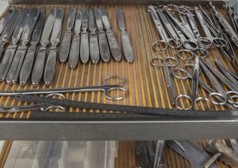 Чему мертвые учат живых