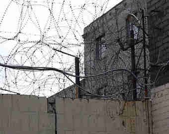 Куда сажают детство