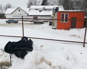 Смертельное нападение бродячих собак на юношу в Подмосковье сняла видеокамера