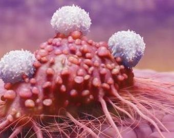 C чем связана загадка зарождения опухоли