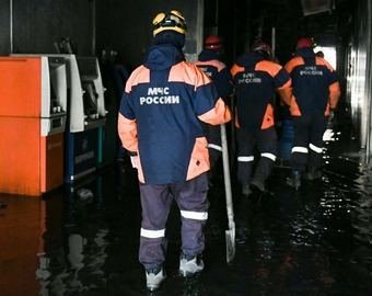 Черные королевы «Зимней вишни»