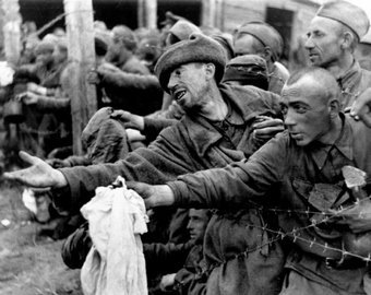 «Их приходится убивать одного за другим»