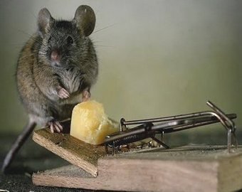 Вредные советы. 7 вещей, которые не надо делать перед зимой на даче