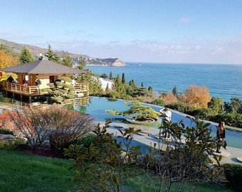 Новый год-2019: Сколько стоит отметить праздник в Крыму