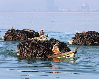 Дневник русского гастарбайтера в Южной Корее: «Нас выбирали как проституток – даже щупали»
