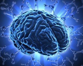 Как заставить свой мозг работать эффективно