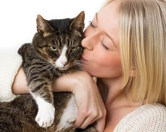 Кусь животворящий: как домашние животные заменяют детей, друзей и партнеров