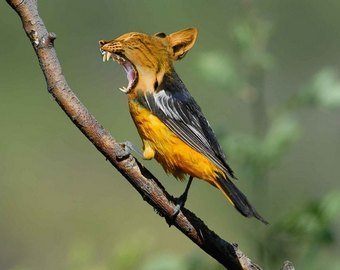 Телегония, сода для омоложения и другие ошибки советской науки