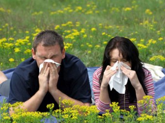 Ученые: аллергия спасает от рака