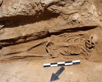 В Марокко найден скелет человека, жившего 5 тыс лет назад