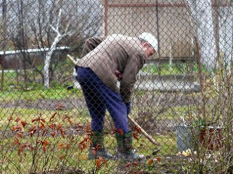 Банда дачников-убийц пытками заставляла бомжей трудиться на огородах