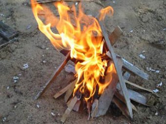 Две семьи москвичей сгорели на пикнике
