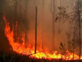 Лесные пожары подбираются к ядерному центру в Сарово