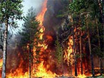 Лесной пожар уничтожил авиабазу ВМФ под Москвой