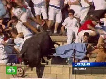 В Испании бык вырвался с арены и ранил 30 зрителей