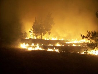 В Россию вернулись пожары: в Волгоградской области сгорели 170 домов