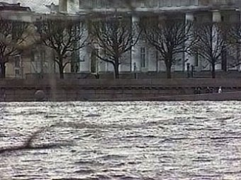 В Петербурге штормовой ветер повалил деревья и вызвал наводнение